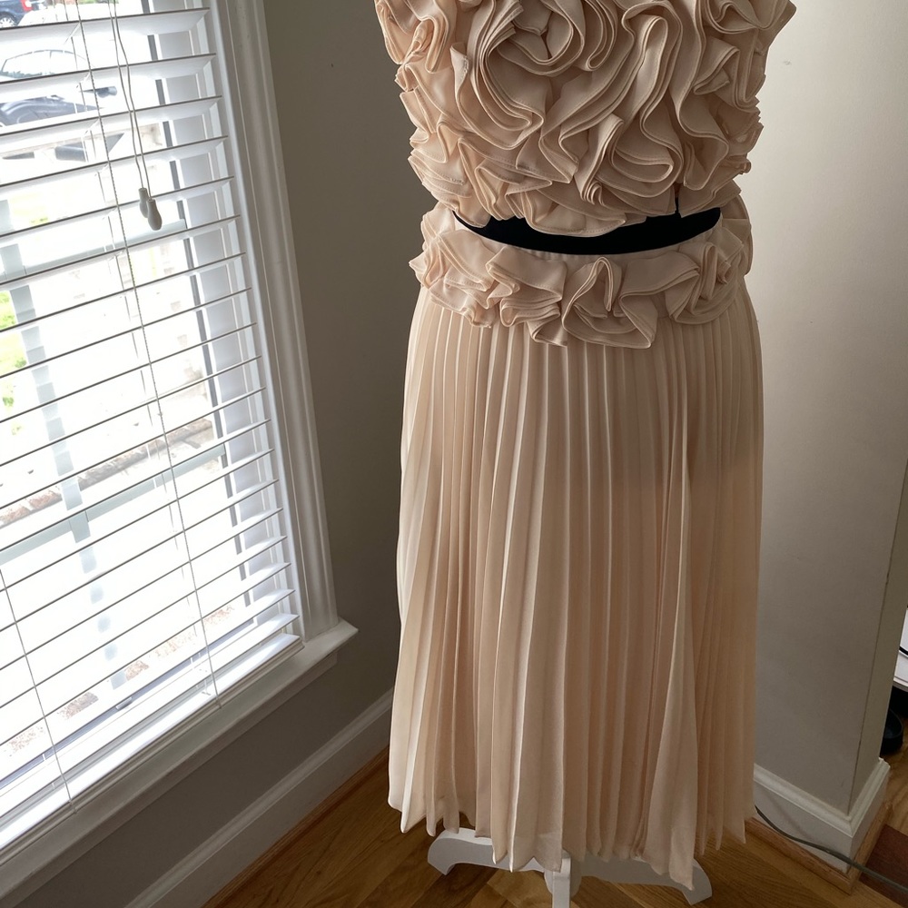 BCBGMAXAZRIA Dress. Size 2. Blush, halter, pleated, Midi dress. - Picture 2 of 9